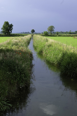 Irrigation ditch in the Po valleyの写真素材