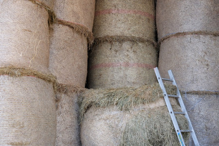 Hay bale