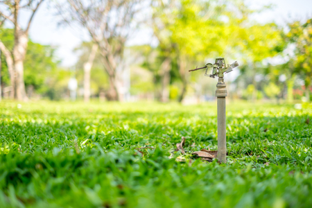 sprinkler Automatic water spray in parkの写真素材