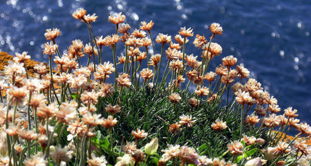 Rough scottish landscape in severe weather conditionsの写真素材