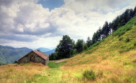 Summertime happiness in Tuscany, Italyの写真素材