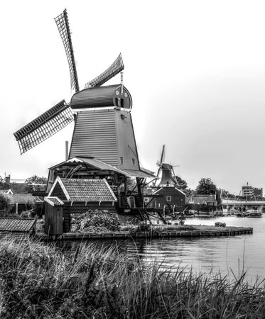 Authentic dutch landscape on a beautiful day