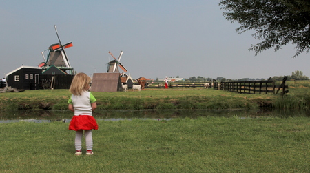 Authentic dutch landscape on a beautiful dayの写真素材