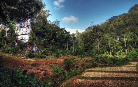 Lifestyle in rural thailand in summertimeの写真素材