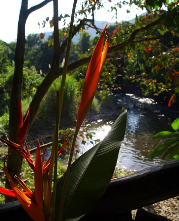 Rural lifestyle in Thailand on a bright dayの写真素材