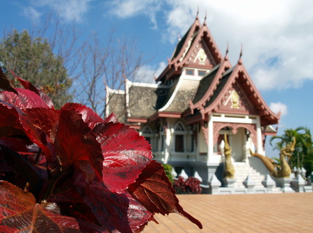 Rural lifestyle in Thailand on a bright dayのeditorial素材