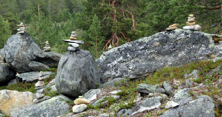 Rough nature in Norwegian landscape in the summer