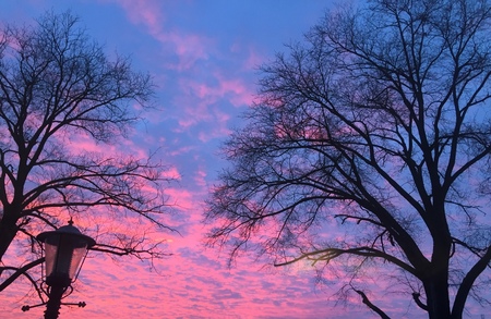 An edited version of a snapshot of life on earthの写真素材