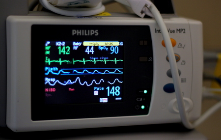 An edited version of a snapshot of life on earthのeditorial素材