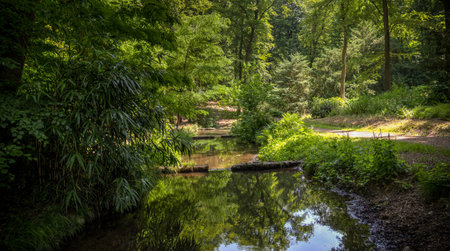 Summer in the Netherlandsの写真素材