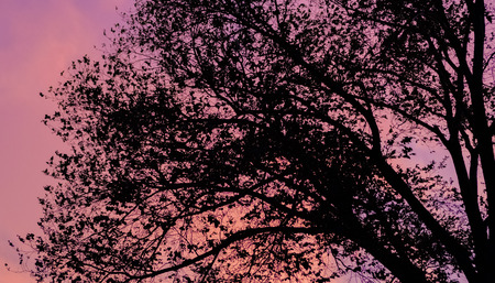 Sunset over harbor area in Amsterdam, The Netherlandsの写真素材