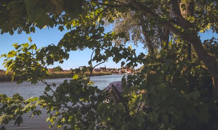 Dutch landscape in the summertime with flowers and plantsの写真素材