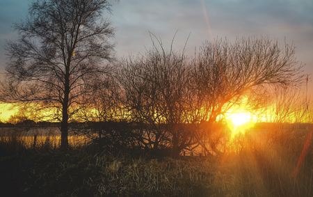 sunset at the countryside with trees and waterの写真素材