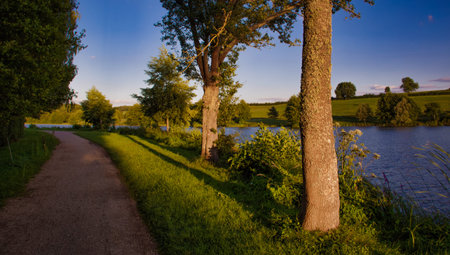 Lake with trees in the sunset in france