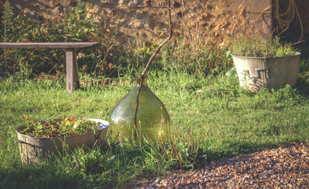 pots and vases on a farm in france