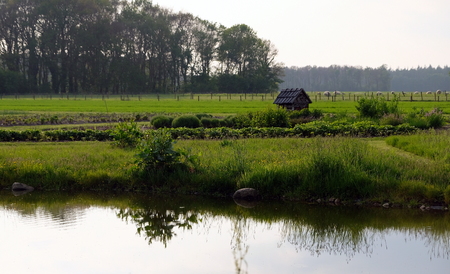 Sunset on a typical dutch landscape in the summerの写真素材