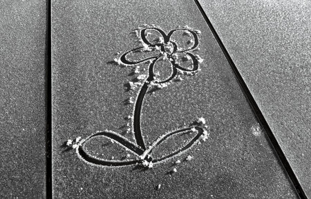 drawing in the snow on wood in the winter