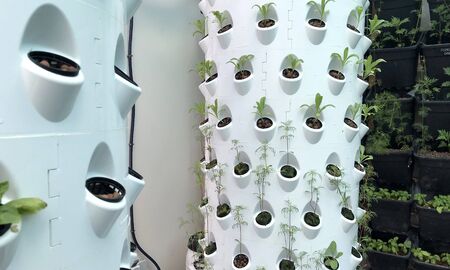 Sustainable building, with a green facade vertical gardening in amsterdam the netherlandsの写真素材