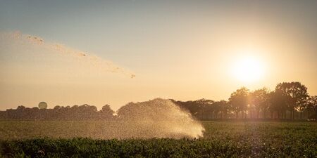 Silhouette of agricultural irrigation system watering cornfield at sunset. Cornfield irrigation using the center pivot sprinkler system. Amsterdam, The Netherlandsの写真素材