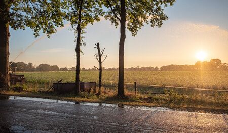 Silhouette of agricultural irrigation system watering cornfield at sunset. Cornfield irrigation using the center pivot sprinkler system. Amsterdam, The Netherlandsの写真素材