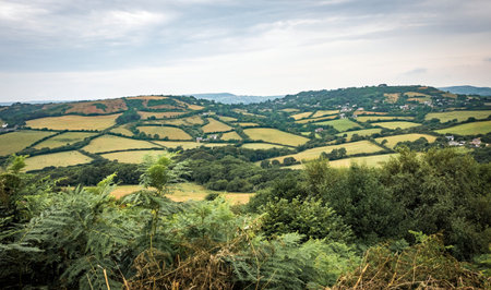 Green fields on a hill with the sea English Channel and English countryside in the background....