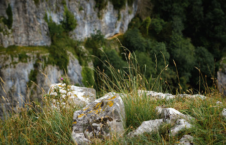 Cliffs of Cheddar Gorge from high viewpoint. High limestone cliffs in canyon at Mendip Hills in...