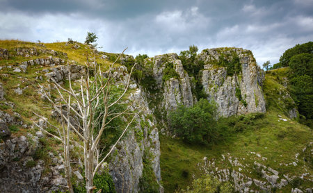 Cliffs of Cheddar Gorge from high viewpoint. High limestone cliffs in canyon at Mendip Hills in...