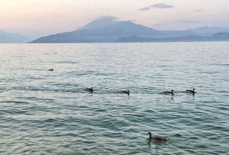 water of lake garda in italy surrounded by mountains in the summerの写真素材