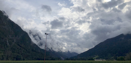 nature meadow in the mountains of the austrian alps