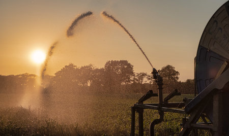 irrigation farm fields sunset hot air balloon water treesの写真素材