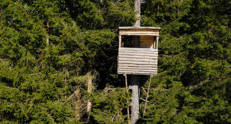 bird watchers cottage high in the trees in a snowy landscape in winter in austriaの写真素材