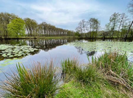 dutch landscape on a cloudy day in spring netherlandsの写真素材