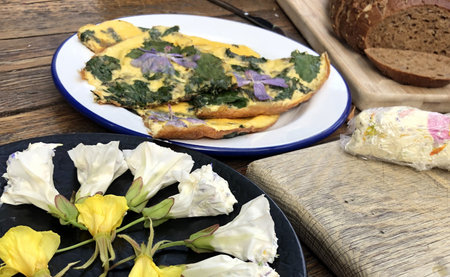 wild picking food from nature on a plate in amsterdamの写真素材