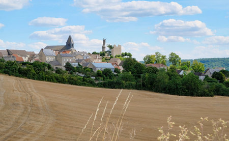 vineyards in the champagne region near Reims in France in the summerの写真素材