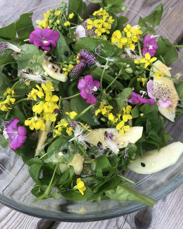 homemade wild picking dish natural ingredients in amsterdamの写真素材