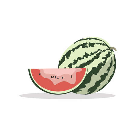 An illustration of  sweet and fresh watermelon, suitable for children's books and magazines, books on nutrition and agriculture and for other business purposes.のイラスト素材