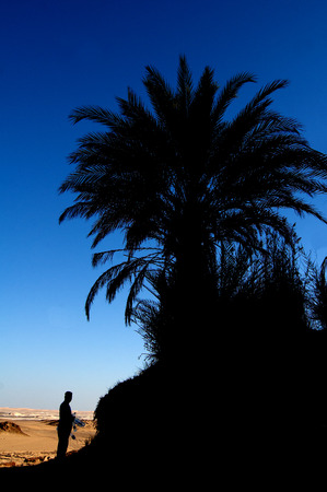 An quit oasis in the desert of Sahara.の写真素材