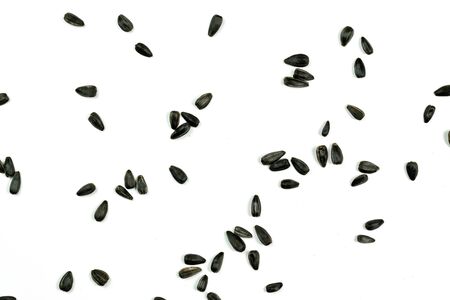 Sunflower seeds, background or texture isolated on white. lose-up. Top viewの写真素材
