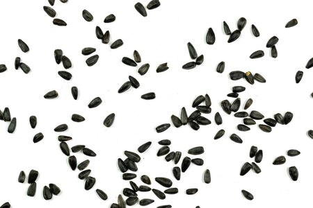 Sunflower seeds, background or texture isolated on white. lose-up. Top viewの写真素材