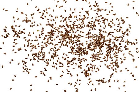 Flax seeds, background or texture isolated on white. lose-up.の写真素材