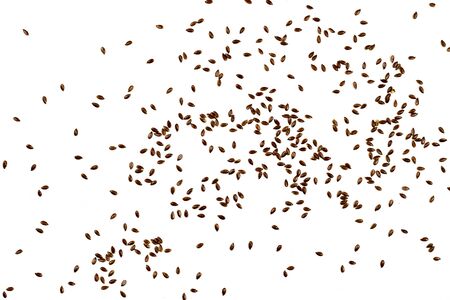 Flax seeds, background or texture isolated on white. lose-up.の写真素材