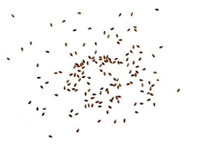 Flax seeds, background or texture isolated on white. lose-up.の写真素材
