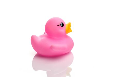 Yellow duck. Rubber toy isolated on white background.の写真素材