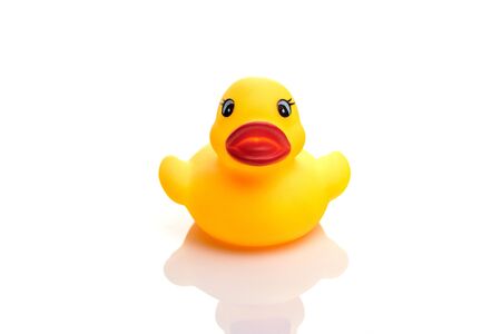 Yellow duck. Rubber toy isolated on white background.の写真素材