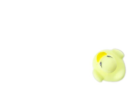 Yellow duck. Rubber toy isolated on white background.の写真素材