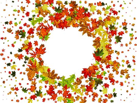 Autumn leaves pattern. Falling October background. Thanksgiving season conceptの写真素材