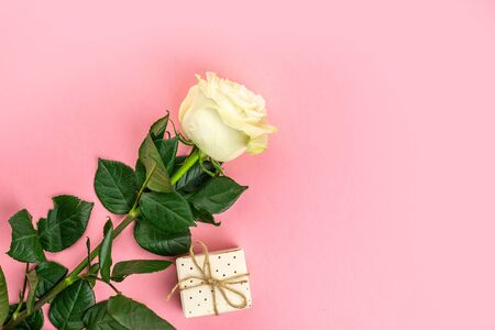 Flowers isolated on pink background. White rose with leaves. Copの写真素材