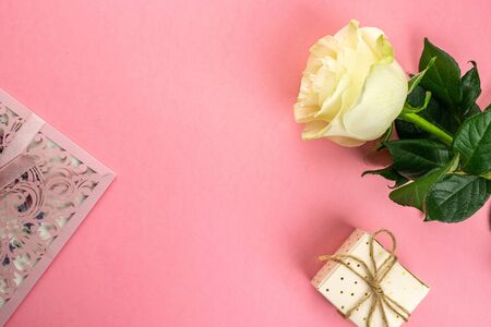 White Rose isolated on pink background. Copy space. Valentines, Women, Wedding Day conceptの写真素材