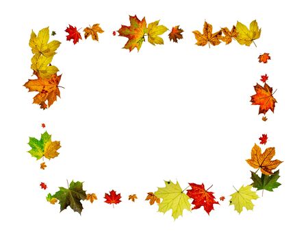 Autumn leaves wind. November falling pattern background. Season conceptの写真素材