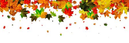 Leaves pattern. October abstract falling background. Autumn concの写真素材